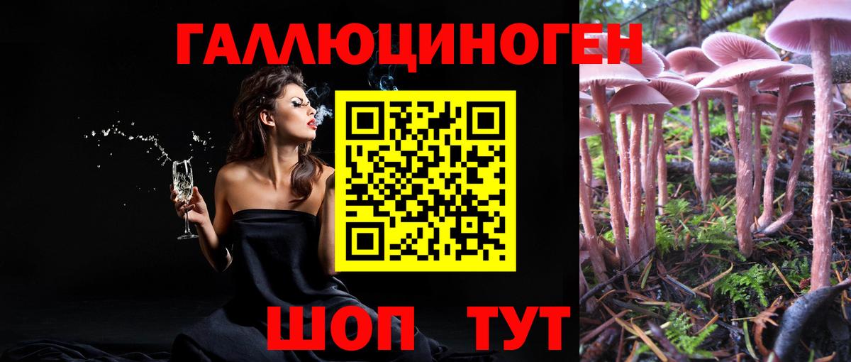 где купить наркоту  Вход с VPN  Балаково  Галлюциногенные грибы MAGIC MUSHROOMS 